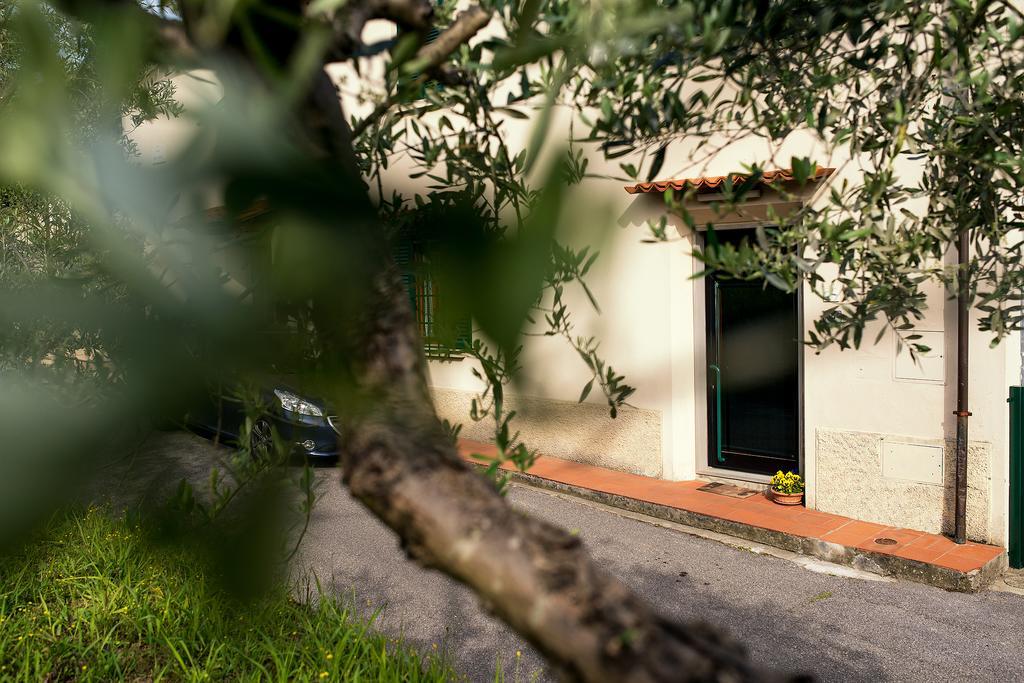 Affittacamere Donati Nada Carmignano Buitenkant foto